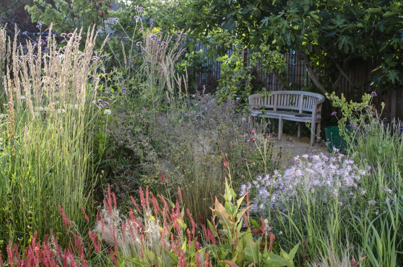 Whitstable Town Gardens